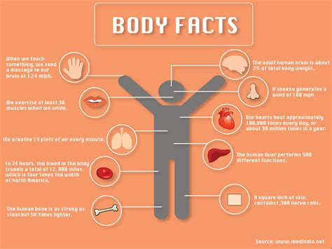 Body facts – TommieMedia