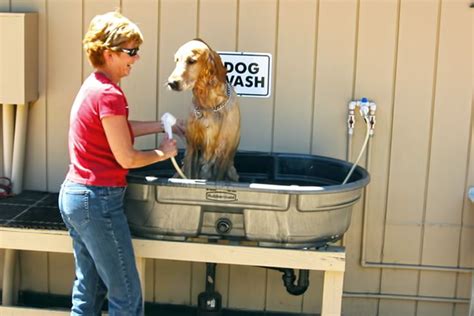 dog wash rooms - Google Search | Dog washing station outdoor, Diy dog wash, Dog washing station