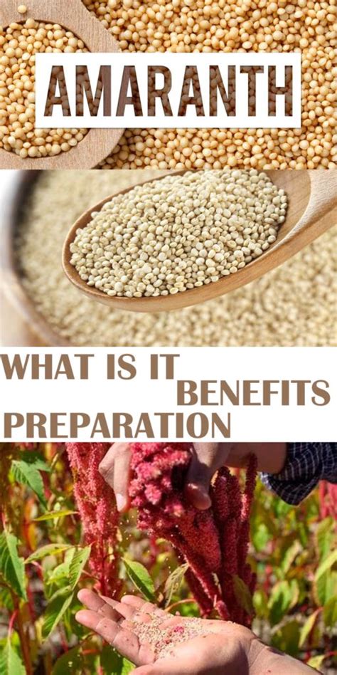 Amaranth: What is it, Benefits and Preparation | Amaranth benefits, Amaranth, Healthy diet recipes