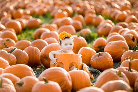 Cal Poly Pomona Pumpkin Patch Photography - San Dimas Family Photography