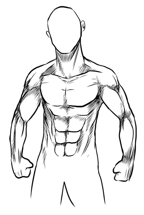 musculos dibujo - Buscar con Google | Dibujo musculos, Cuerpo humano dibujo, Bocetos del cuerpo ...