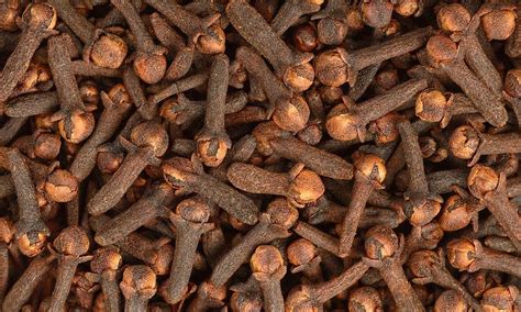 Whole Dry Clove Seed, Packaging Size: 1 kg at Rs 540/kg in Nashik | ID: 23379502612