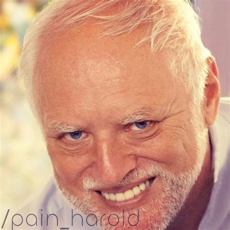 Top 94+ Pictures Hide The Pain Harold Stock Photos Stunning