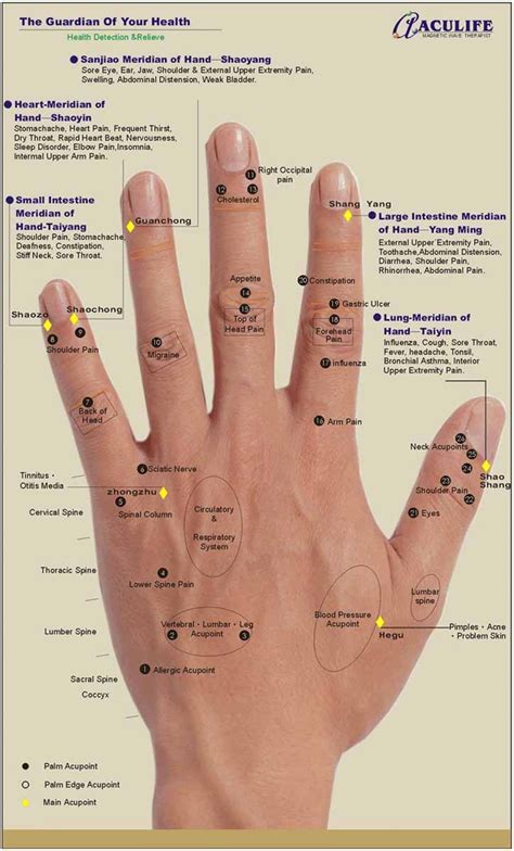 Hand reflexology charts - acupressure points for hand in 2020 | Hand reflexology, Reflexology ...