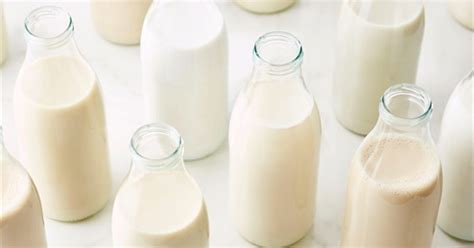 Types of Milk