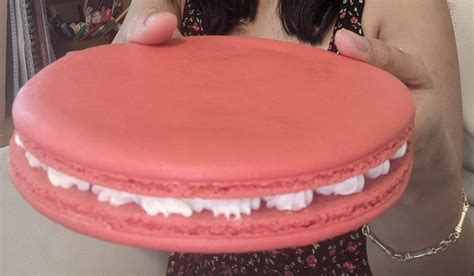 I was told this sub would appreciate this absolute unit of French Macaron I made :)