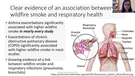 CHE Webinar: Wildfire Smoke: Impacts on Public Health and Lived ...