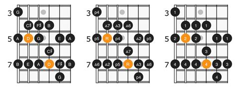 D Major Scale on Guitar: Positions & Theory