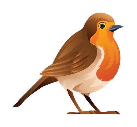 Cute robin bird cartoon illustration isolated on white background ...