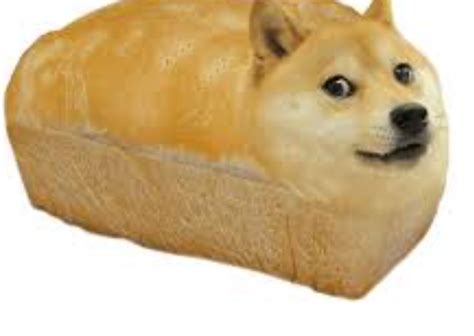 Doge bread Blank Template - Imgflip