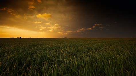 Wallpaper : sunlight, landscape, food, sunset, nature, sky, field ...