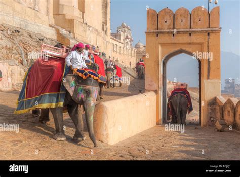 elephant ride, Amer Fort, Jaipur, Rajasthan, India Stock Photo - Alamy