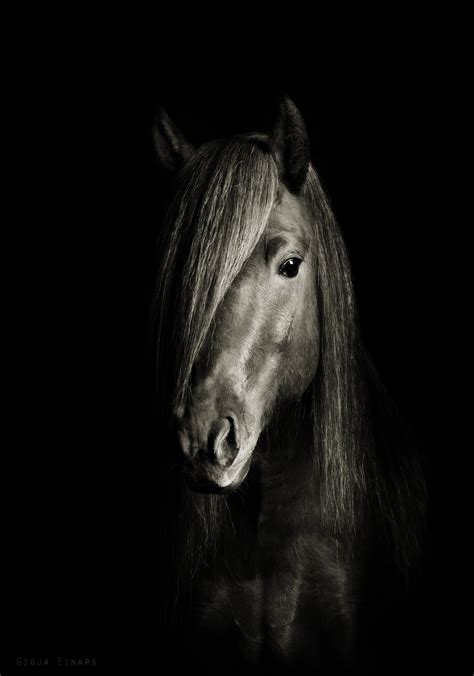 Jaw-Dropping Black & White Horse Photos - Cowboy Magic - Cowboy Magic