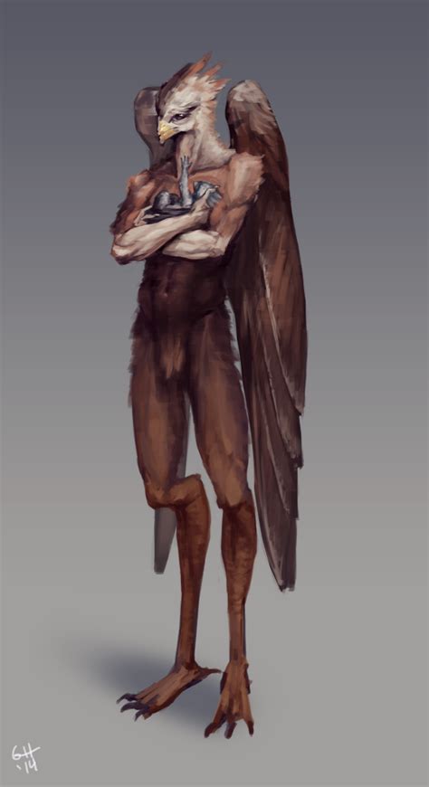 Avian Type Race | Fantasy character design, Character art, Creature design