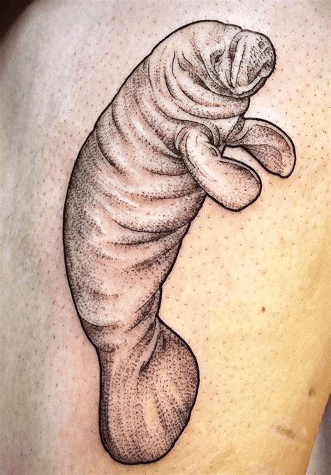 Manatee Tattoo Design Images (Manatee Ink Design Ideas) in 2022 ...