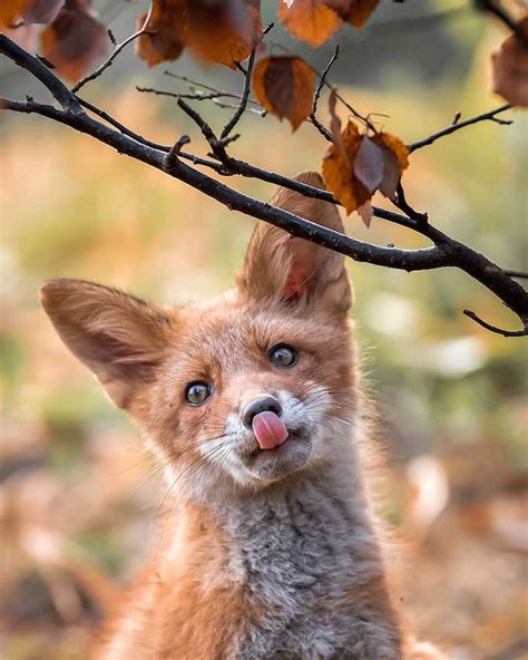 Interview: Photographer Captures Real-Life “Fairy Forests” in Finland