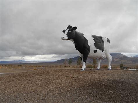 The Mooving Story Of The Giant Cow Near Death Valley | I Love The Eastern Sierra
