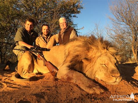 Hunting Lion South Africa | AfricaHunting.com