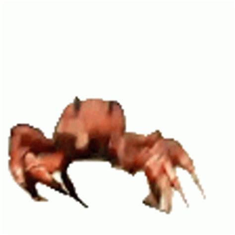 Crab Rave Twitch Sticker - Crab Rave Twitch Dance - Discover & Share GIFs