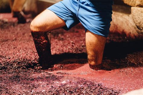 How Old School Grape Crushing by Foot Makes Better Wine | Alcohol Professor