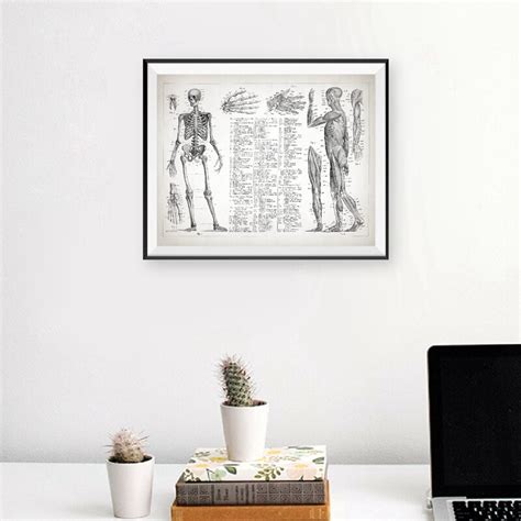 Human Anatomy Poster Canvas Painting Wall Picture Muscular And Prints Medical Art with Free ...