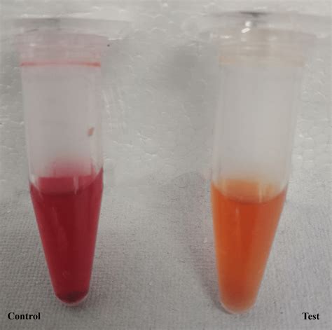 Analytical results for LPs confirmation and partial purification. a.... | Download Scientific ...