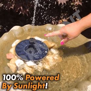 【60% OFF】Solar-Powered Bird Fountain Kit - No Setup! – MDRNmint | Bird fountain, Bird bath ...