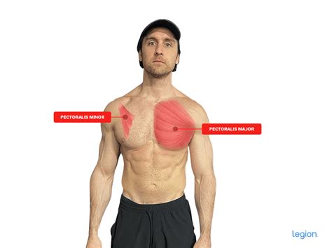 Pectoralis Major And Minor Stretches