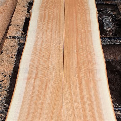 Queensland Maple - Kirby Fine Timber