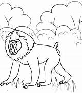 9 Sweet And Cute Baboon Coloring Pages For Children  sketch template