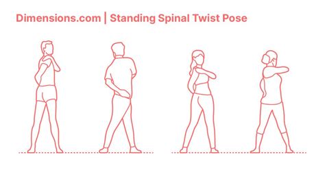 Standing Spinal Twist Pose (Katichakrasana) | Poses, Twist, Human dimension