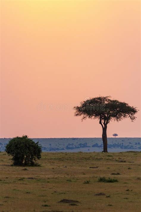 Sunset stock photo. Image of horizon, hillock, landscape - 6617494