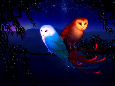 🔥 [97+] High Resolution Owl Wallpapers | WallpaperSafari