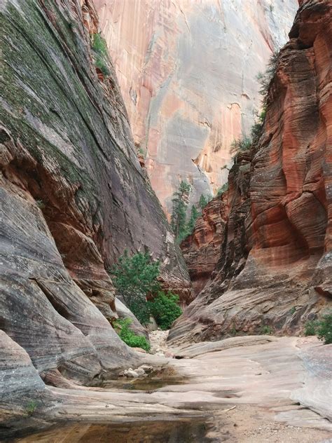 Observation Point Trail, Zion Natl. Park, Utah - Imgur Zion National ...