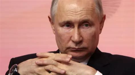 Vladimir Putin - BBC News