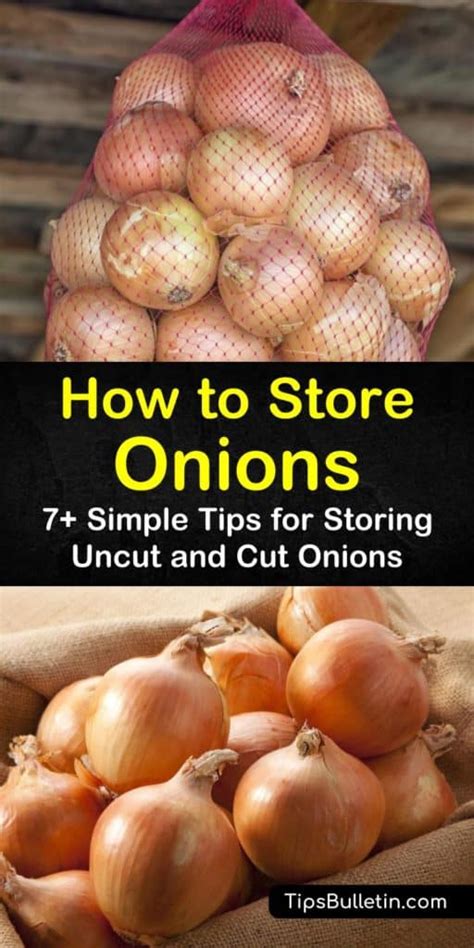 7+ Simple Ways to Store Uncut and Cut Onions