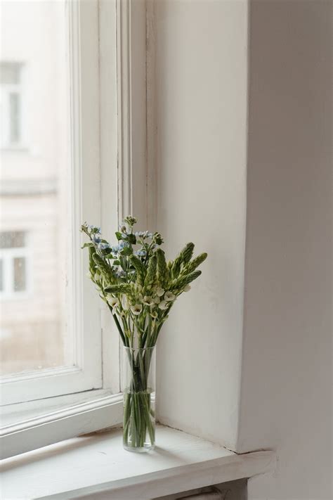 White Flowers in Clear Glass Vase · Free Stock Photo