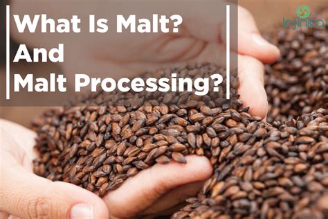 What Is Malt? | Malt Processing | Infinita Biotech