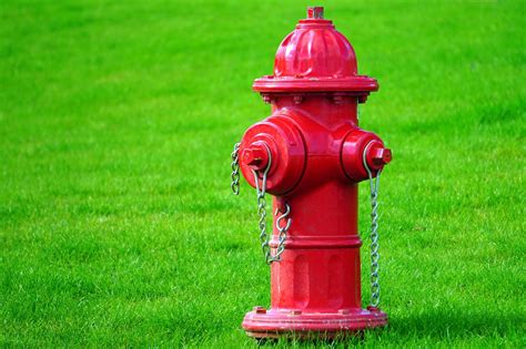 Why are Fire Hydrants Different Colors and What Do They Mean? - The ...