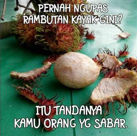 10 Meme 'Orang Sabar' Ini Kocaknya Bikin Hidup Jadi Barokah