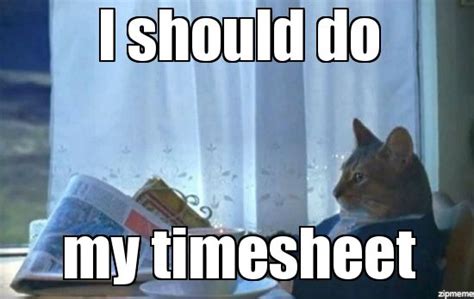 timesheet meme - Google Search | Cat memes, Memes, Cats