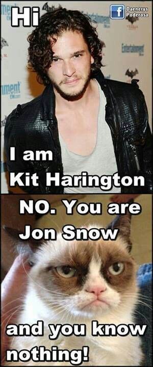 Jon Snow | Got memes, Grumpy cat, Game of thrones funny