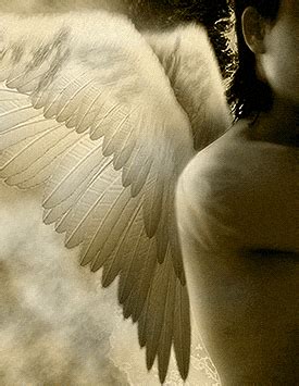 Glowing Angel Wings gif by jade95_2010 | Photobucket