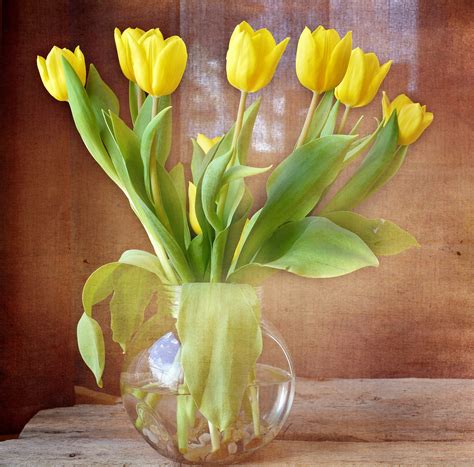 Free Images : glass, tulip, vase, tulips, floristry, spring flowers ...