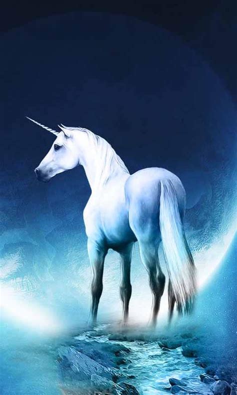 🔥 [50+] Unicorn Pegasus Wallpapers | WallpaperSafari