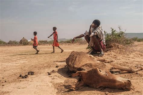 Drought Hits Horn of Africa Hard, on Track for 6th Failed Rainy Season