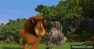 Madagascar - Alex and Marty Play tag and Race. on Make a GIF