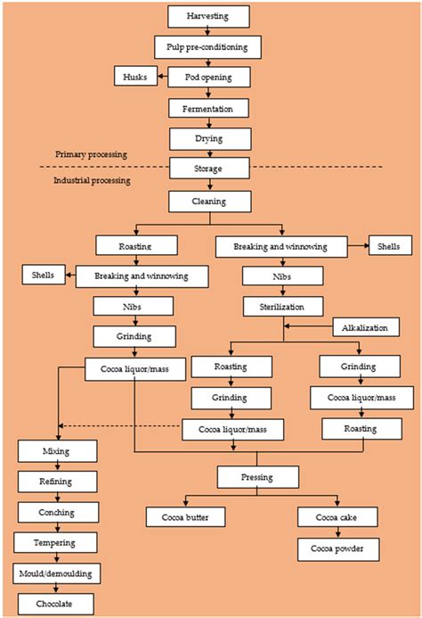 Schematic diagram of cocoa bean processing and chocolate production ...