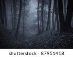Night Forest Free Stock Photo - Public Domain Pictures