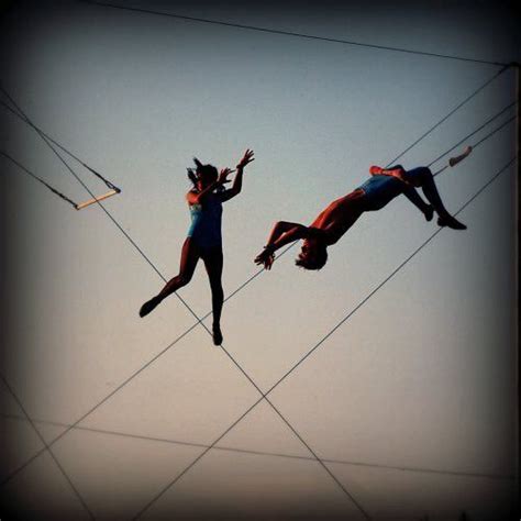 Dr Margaret Murphy on Twitter | Circus, Trapeze artist, Trapeze circus